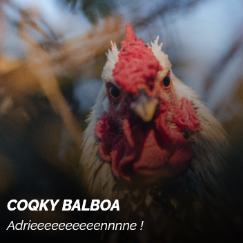 Coqky Balboa