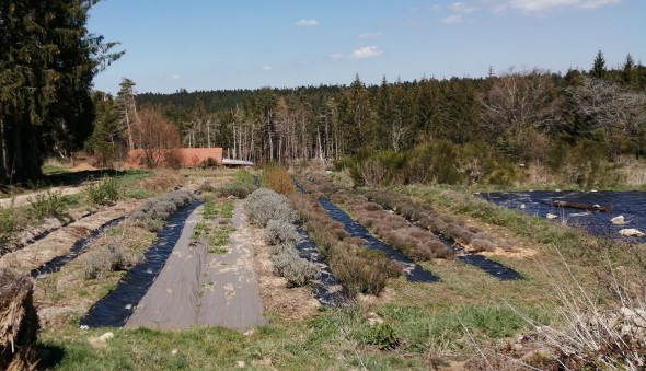 Le centre de Gebnout