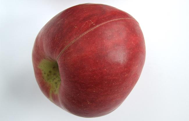 Pomme croque