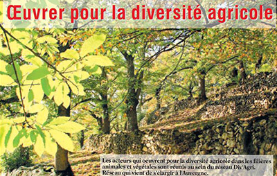 Oeuvrer pour la diversité